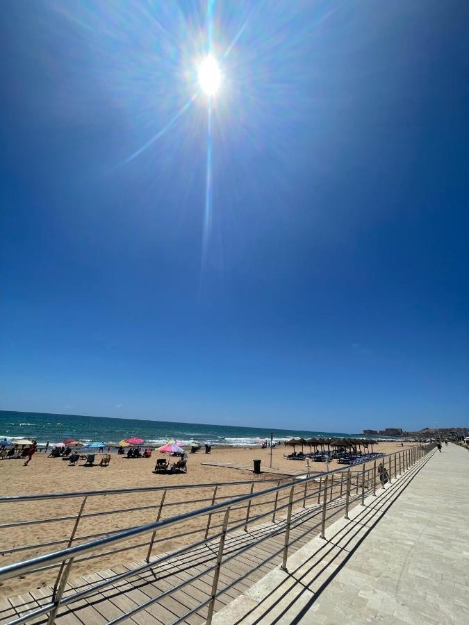 Three Bedroom Apartment With Pool In Torrevieja Exterior photo